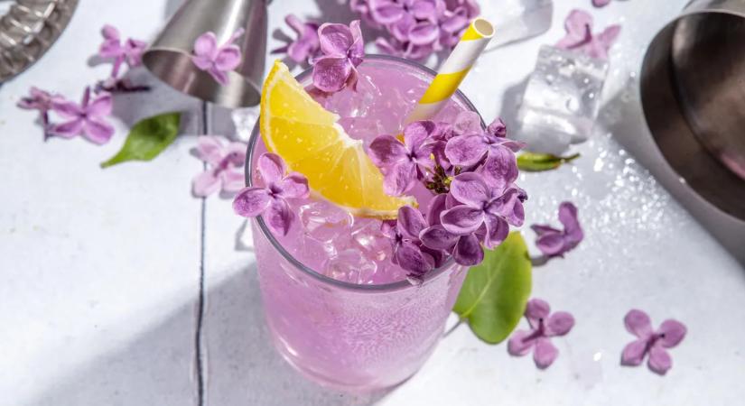 Orgonából limonádé, mutatjuk milyen egyszerűen elkészítheted