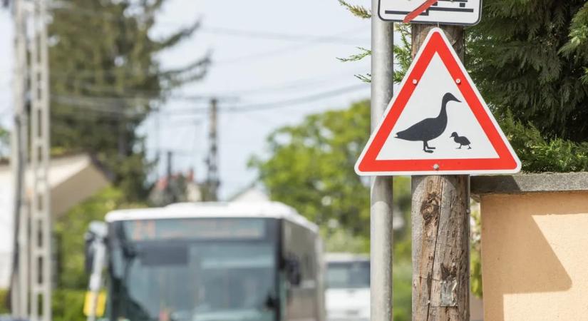 Szabálytalan közlekedési tábla figyelmeztet a veszélyre