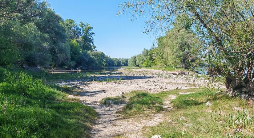 Mi látszik most a Dunán Dunaújvárosnál  videó