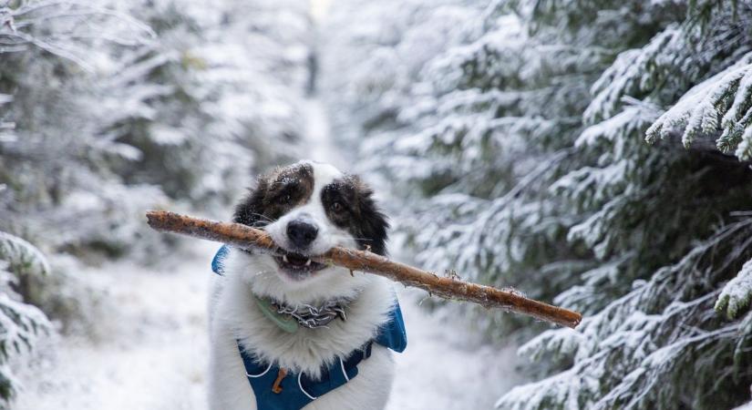 Mi történik? – Április végén leszakadt a hó