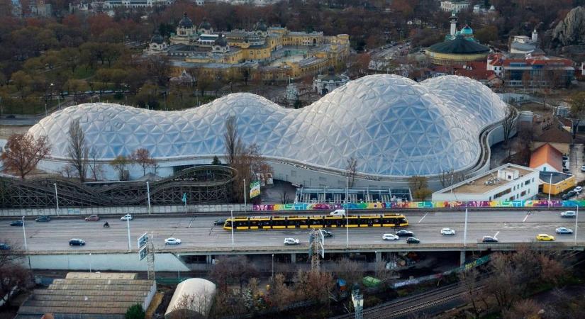 Vadon a város szívében – látogatócsalogató tervek sokaságával készülnek a Biodóm nyitására