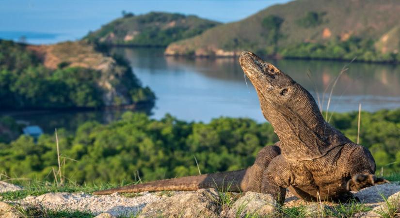 7 sziget, ahol akkora a para, hogy az emberek félnek elutazni oda