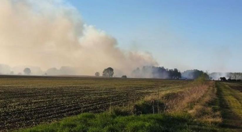 Több hektáron égett a száraz fű, alig fértek hozzá a területhez a tűzoltók (videóval)