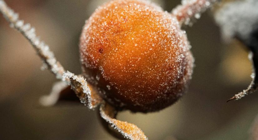 Ötven éve nem volt olyan hideg, mint amilyenre csütörtökön ébredtünk