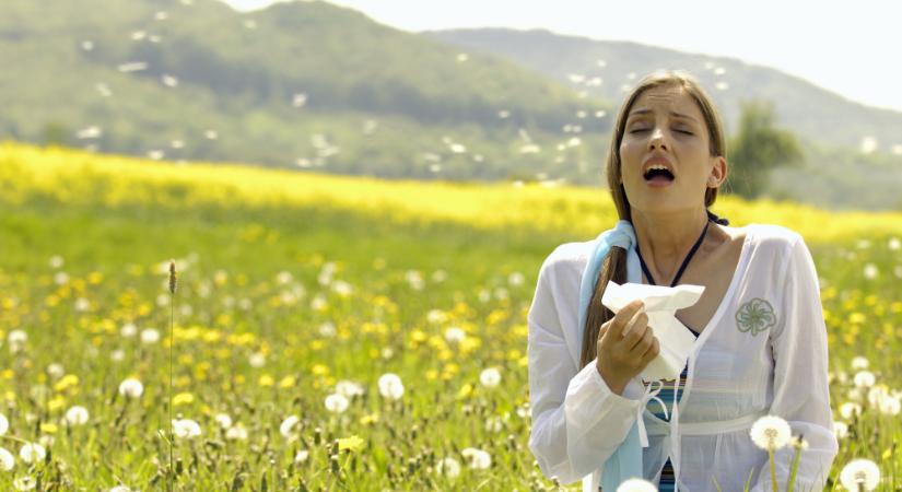 Ha szénanáthás, jobb vigyázni: ezek az ételek ronthatják a tüneteket