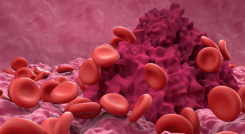 Szupergyors véralvadást értek el kutatók kémiailag módosított vérrel, ami életeket menthet