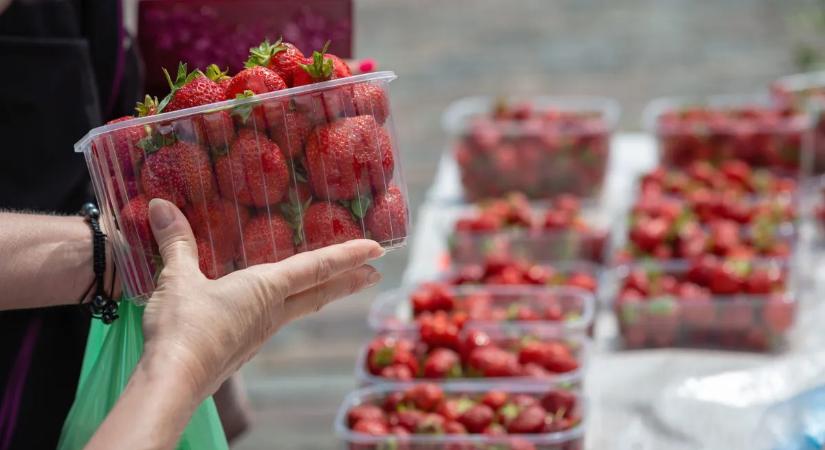 Keményen lecsap a hatóság az eperárusokra