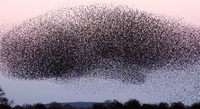 Kriptovalutával jutalmazzák azokat, akik felajánlják eszközeiket orosz hackertámadásokhoz