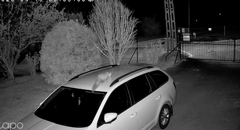 Végre egy biztonsági kamera, aminek nem csak dísz a zoomja – kipróbáltuk a TP-Link Tapo TC47-et