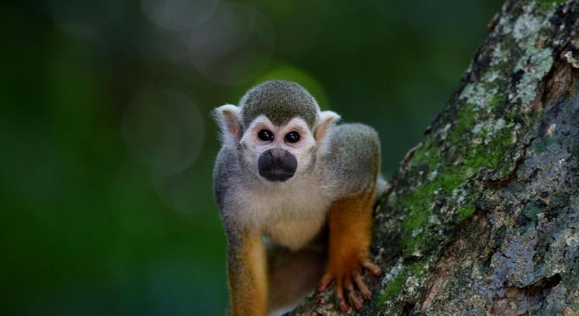 Visszaesett a drágább utak kereslete, a magyarok olcsóbb turisztikai célpontokat választanak