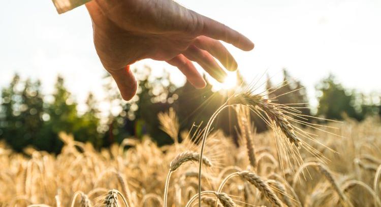 Milliárdok mentek biztosításra – megérte?