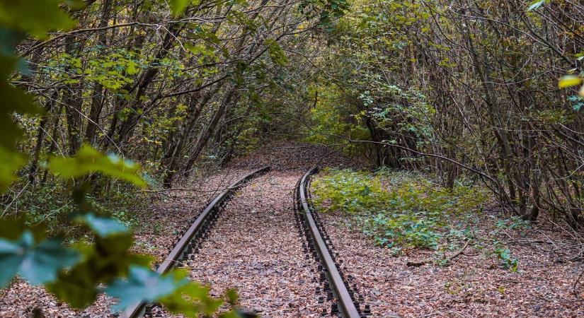 Kísért a múlt: 50 éve szűnt meg a személyszállítás az egykor megkerülhetetlen vasútvonalon