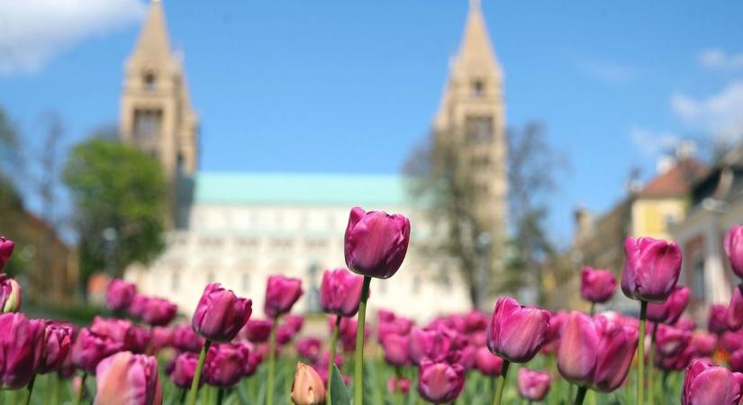 Ez a boszorkányos éjszaka vajon mit tesz a májussal?