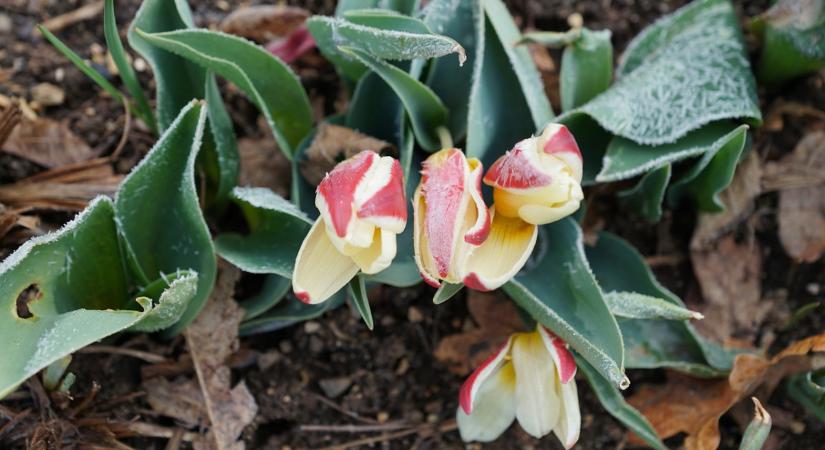 50 éve nem volt ilyen hideg, és holnap még jobban fázunk majd