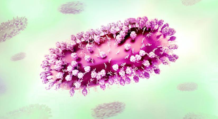 Alig kevesebb a légúti panaszos beteg, lassan tűnik el az influenzaszezon