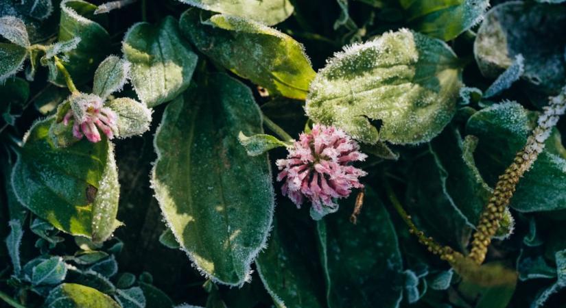 A hét leghidegebb hajnala jön: 80 éves rekord dőlhet meg