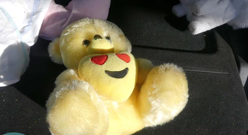 Kannabiszt rejtett a kalaptartón ücsörgő sárga plüssmaci