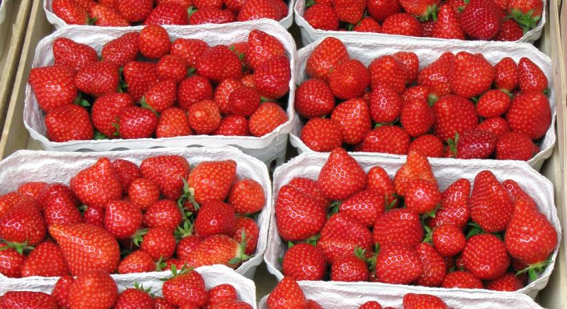 Hatalmas razziát indítottak az ellenőrök, ez a tavaszi kedvenc van a célkeresztben, gyorsan repülhetnek a milliós bírságok