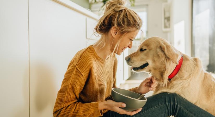 Több mint jutalomfalat: Imádják a kutyák ezeket az emberi ételeket