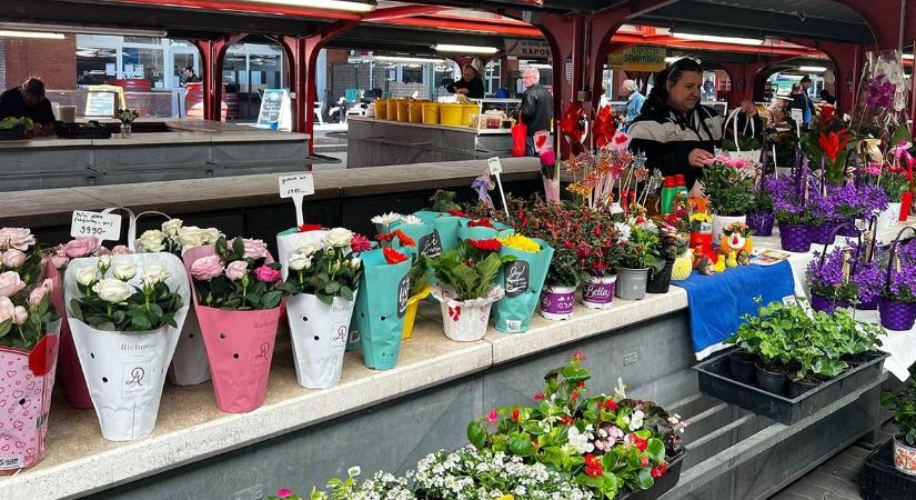 Virágba borultak a standok anyák napja előtt  képgaléria, videó