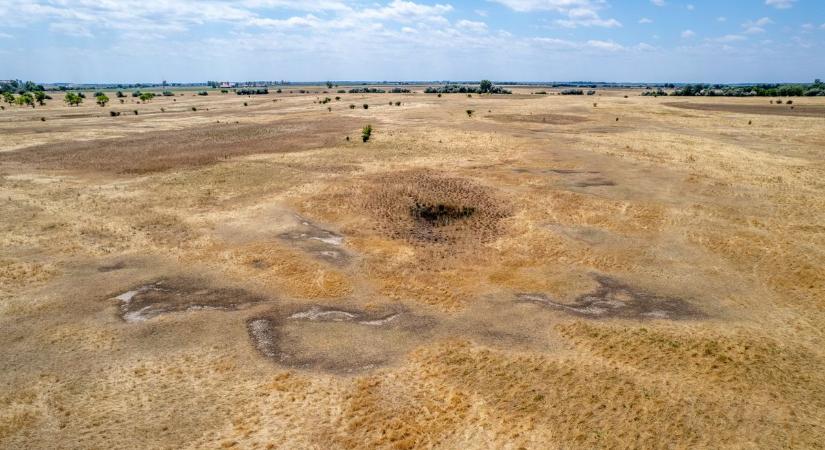 Kritikus a helyzet a mezőgazdaságban: egyszerre támad az aszály és a fagy