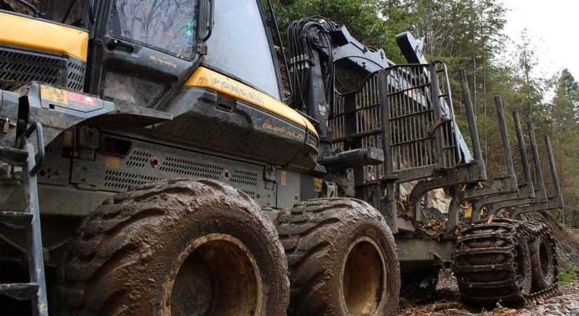 Módosult az erdőgazdálkodási beruházási pályázati felhívás