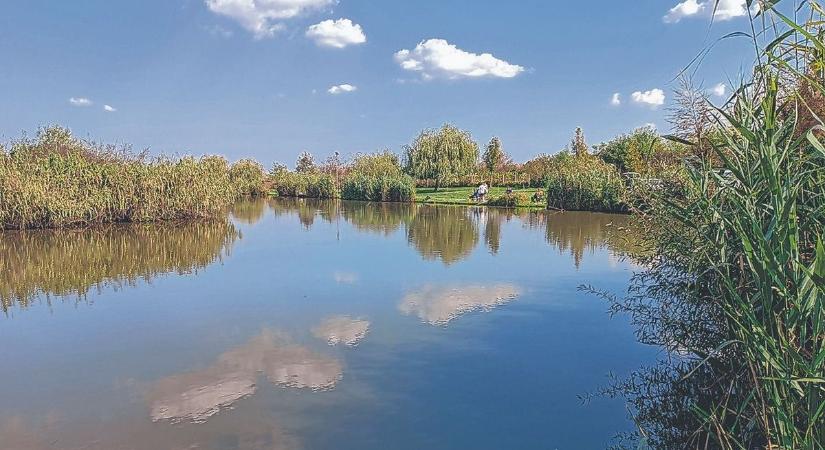 Súlyos pénzbüntetés és 5 éves kitiltás: kemény világ várhat rád, ha megszeged a szigorú vízparti szabályt!