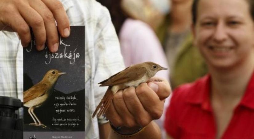 Itt az év legszebb madárhangja – fülemülék éjszakája Dinnyésen és Sóstón (videó)