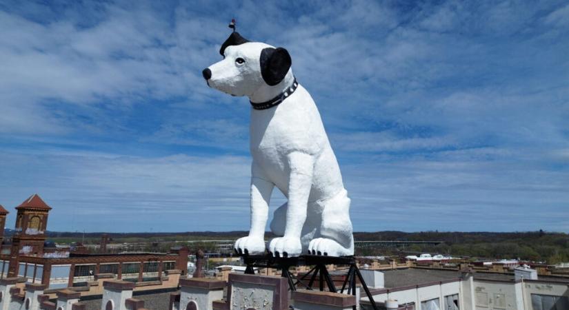 Legendás kutya szobra az Egyesült Államokban