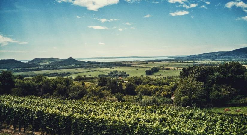 Megerősítette a polgármester: végleg bezár a legendás magyar vállalat telephelye