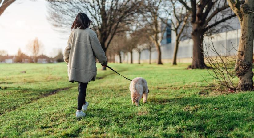 Kutyások, figyelem! Akár 150 ezer forintra is büntethetnek, ha nem teszel eleget ennek a szabálynak