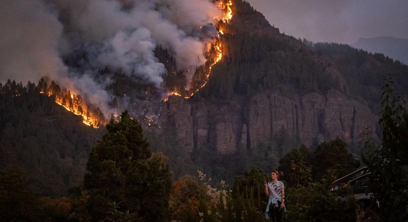 Csökkent az esőerdők pusztulása, de a tüzek új veszélyt jelentenek