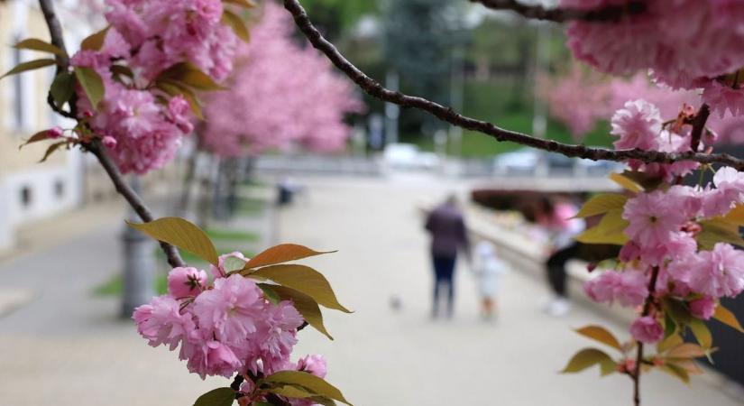 Megérkezett az, amire mindenki várt – ilyen lesz a pénteki időjárás