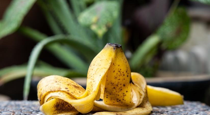 Ne dobjuk ki a banánhéjat! Tegyük a fagyasztóba és aranyat ér majd a kertben és a cserepekben