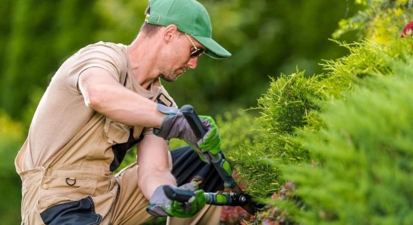 Jelentős támogatást kapott a város a Versenyképes Járások Programban