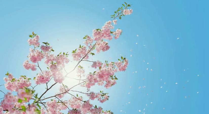 Időjárás-előrejelzés: Napos, száraz, egyre melegebb idő várható a hosszú hétvégén