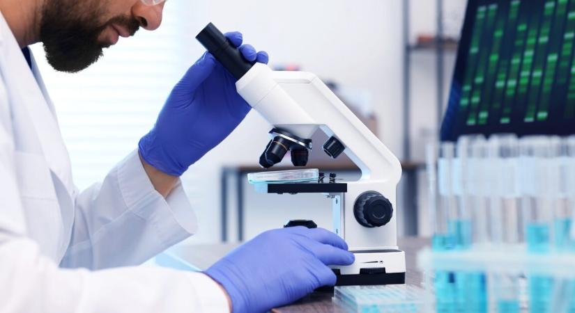 Most először láthatjuk, hogyan ölnek a rák ellen bevetett sejtek