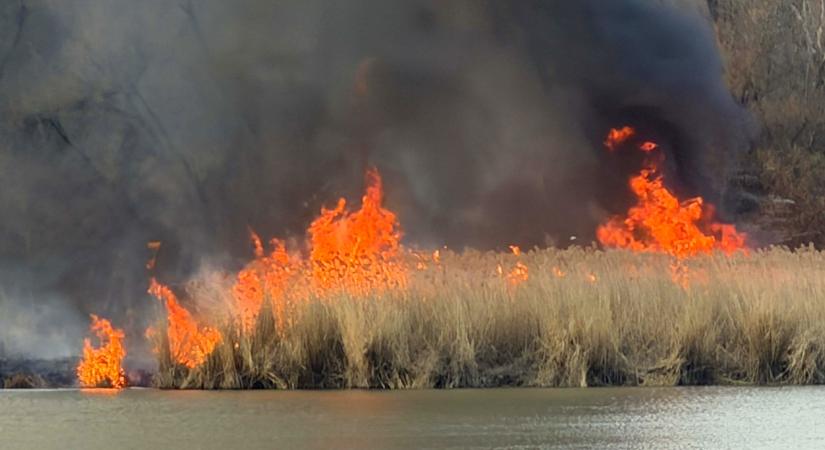 Tűzgyújtási tilalom lépett életbe két dél-alföldi vármegyében