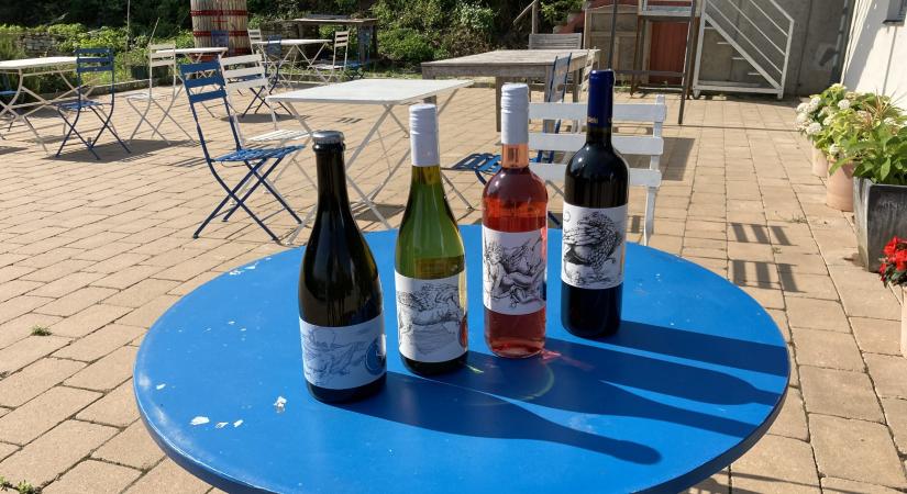 Pozitív a magyar borok megítélése a fiatalok körében