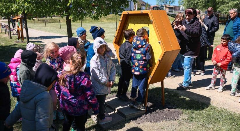 Megdöbbentő számok a méhekről: ezért élet-halál kérdés, ami most a Tisza-tónál történt