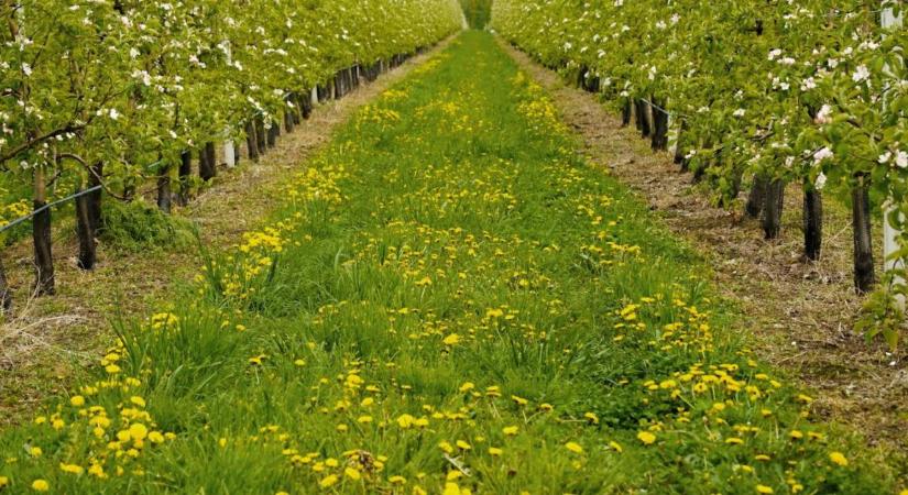 Időjárás: lehet, hogy túl vagyunk a nehezén?  VIDEÓ