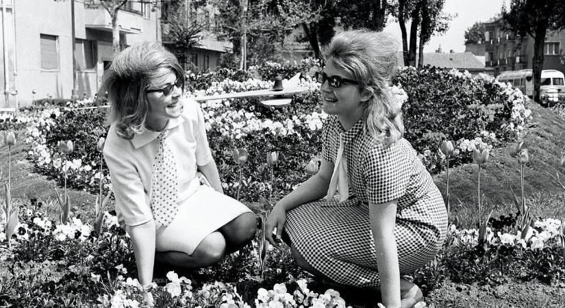 Készül az új tér és megújul a fehérvári virágóra is május 1-jére