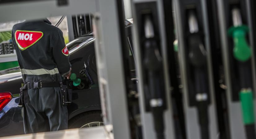 A Mol bekebelezett egy nagy energiacéget