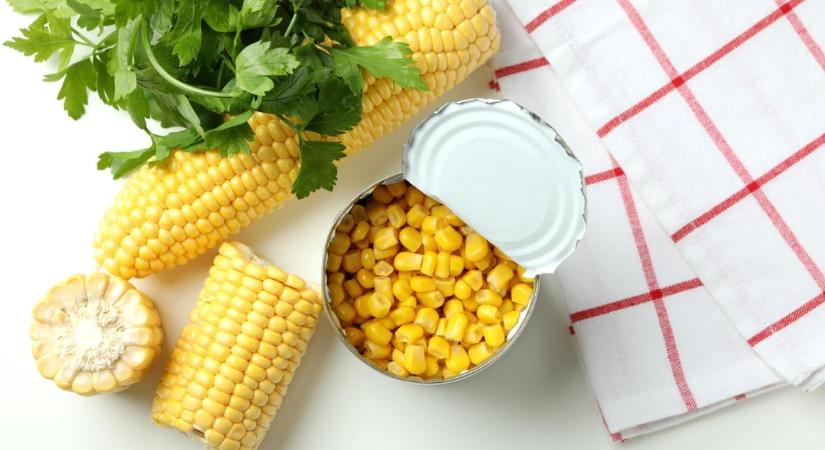 Vége a magyar csemegekukoricának? 26 éves mélyponton az ágazat