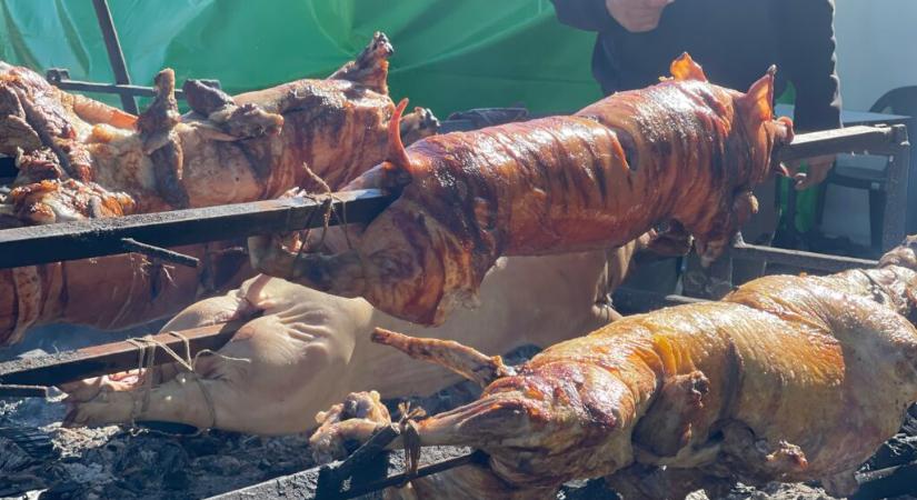 Mit kínál a palicsi majális az idén?