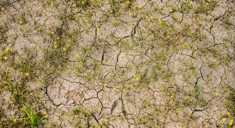 Riasztó képet mutat itthon az aszály – körkép