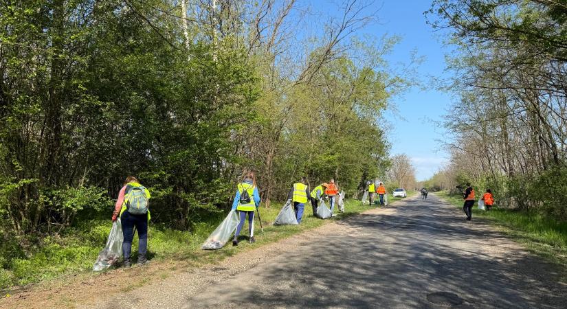 WC csészét és lókoponyát is találtak az út mellett kidobva