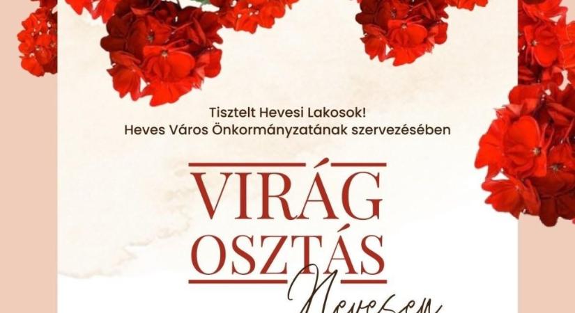 Muskátlit ajándékoz a városvezetés a hevesi polgároknak