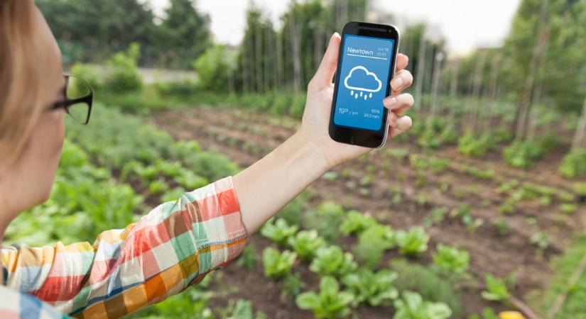 Már tudni, mikor jöhet eső Magyarországon: itt a friss előrejelzés