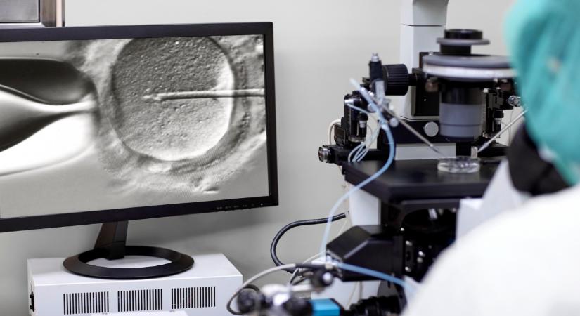 Hihetetlen orvosi csodát vitt véghez a mesterséges intelligencia: itt az újabb elképesztő áttörés